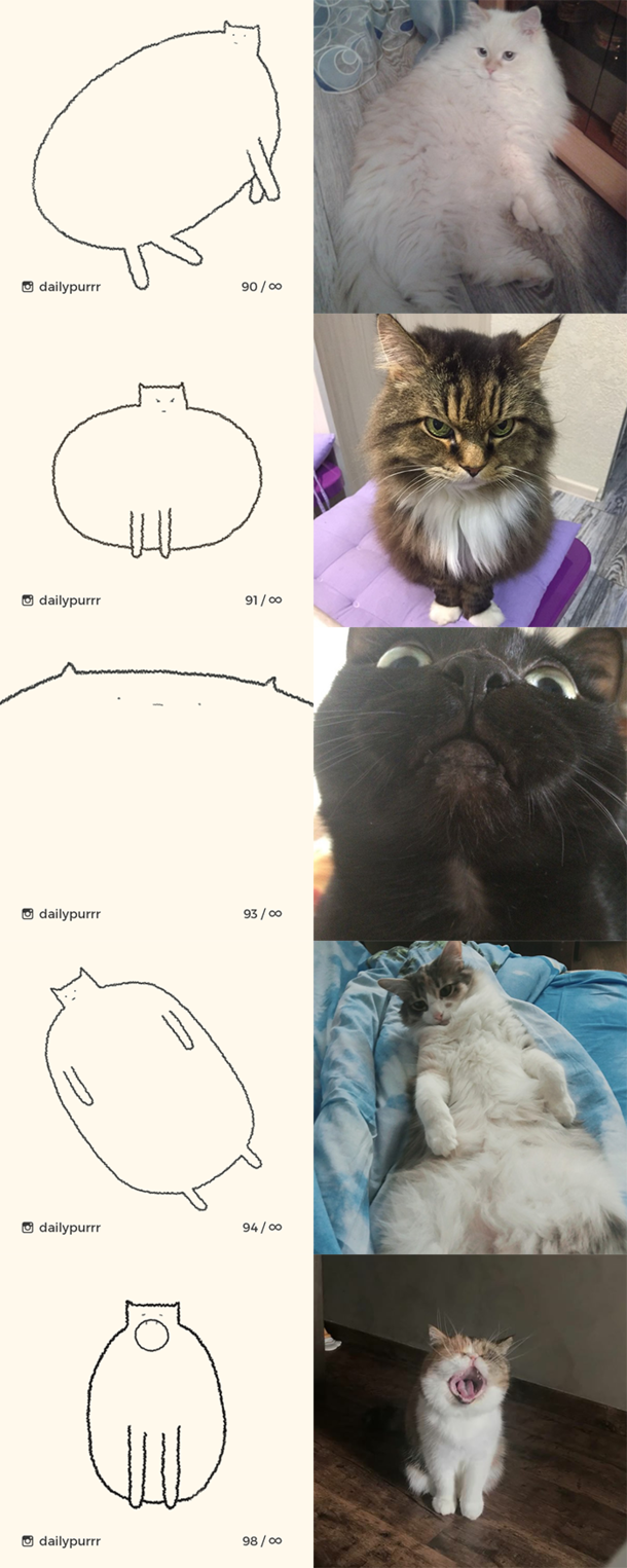 I draw cats