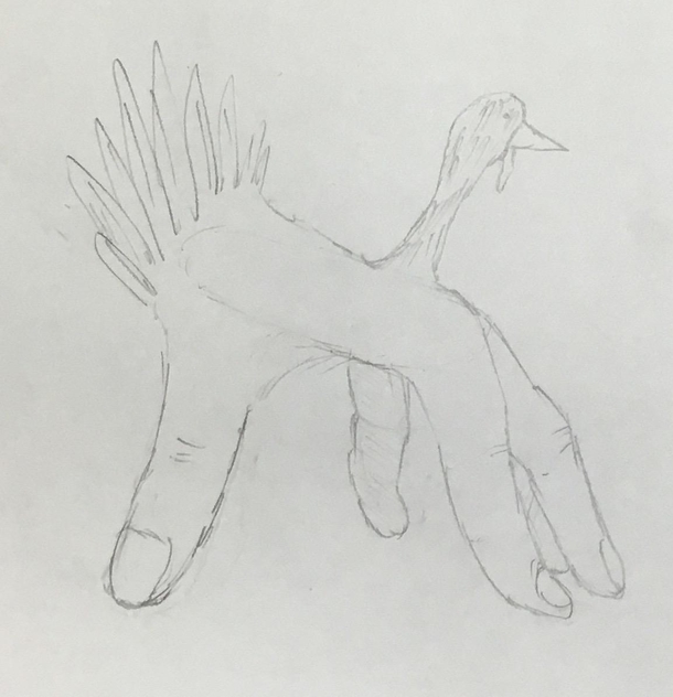 I drew a hand turkey
