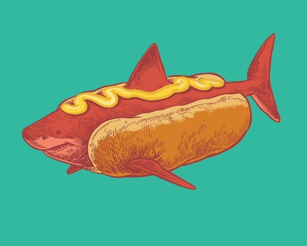 I drew a hotdog shark with mustard 