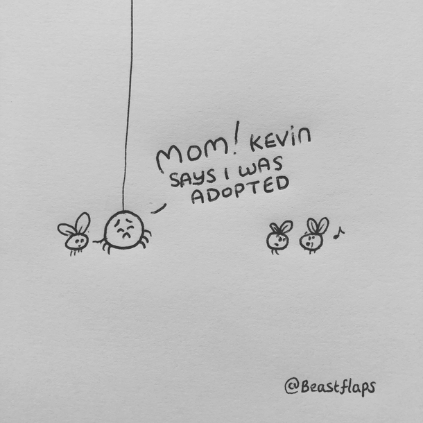 I drew this