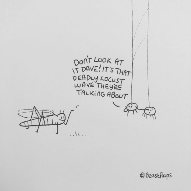 I drew this