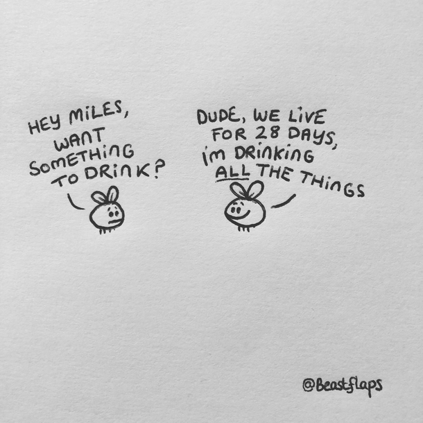 I drew this
