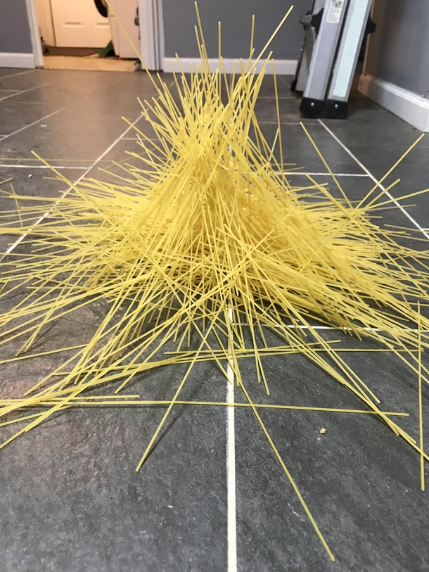 I dropped a box of spaghetti on the ground and accidentally graduated from Art School