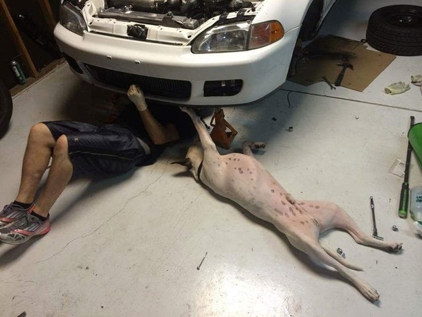 I dunno man your radiator is looking pretty ruff