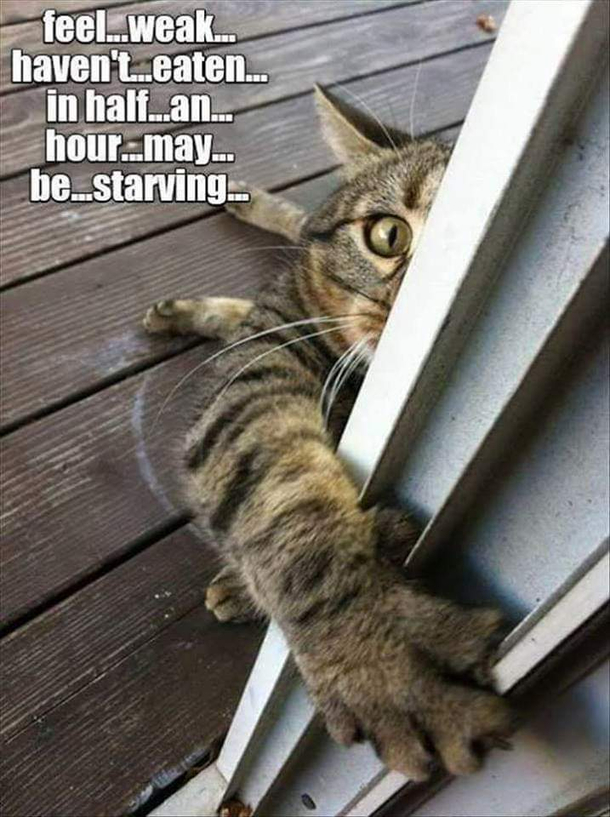 I experience this every single day