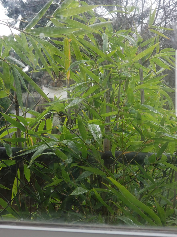 I feel like Im being watched