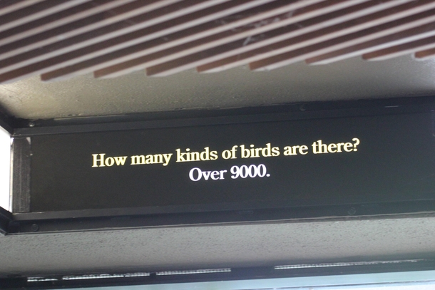 I feel like some zoo worker made this sign as a joke but I honestly cant tell 