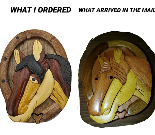 I feel like the horse on the right Thanks Amazon