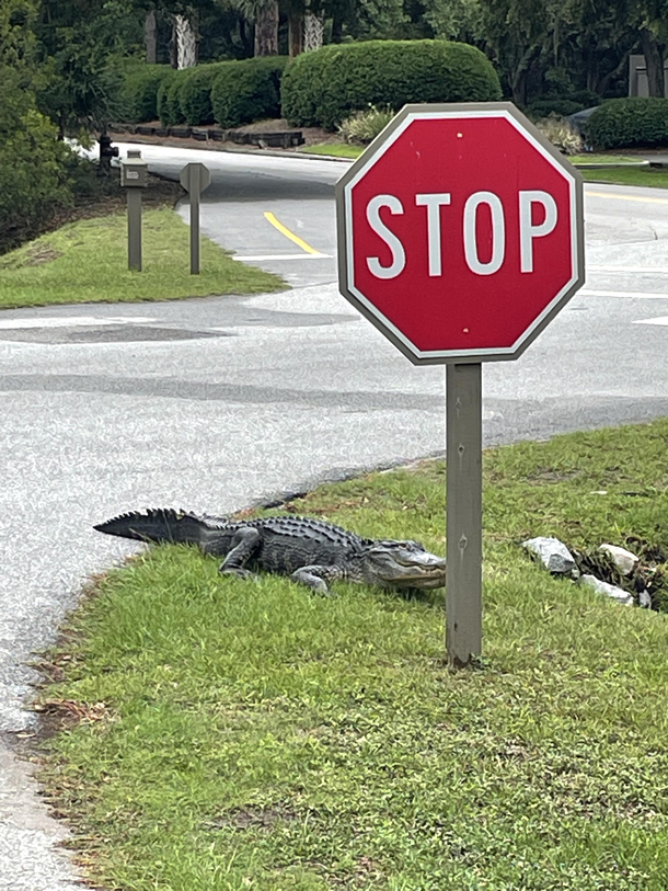 I feel like the sign was enough I mean this is overkill
