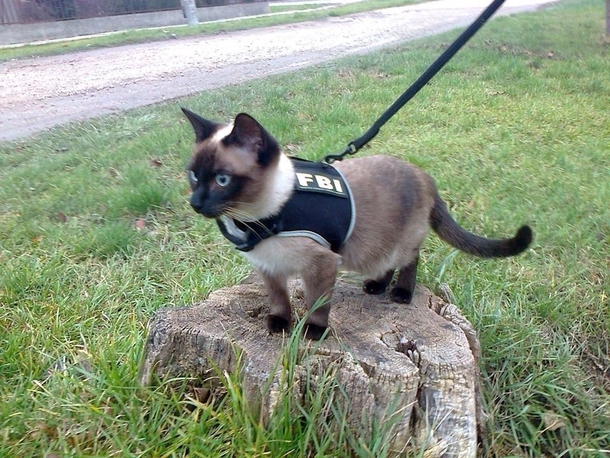 i feel safe knowing members like this are working in the FBI