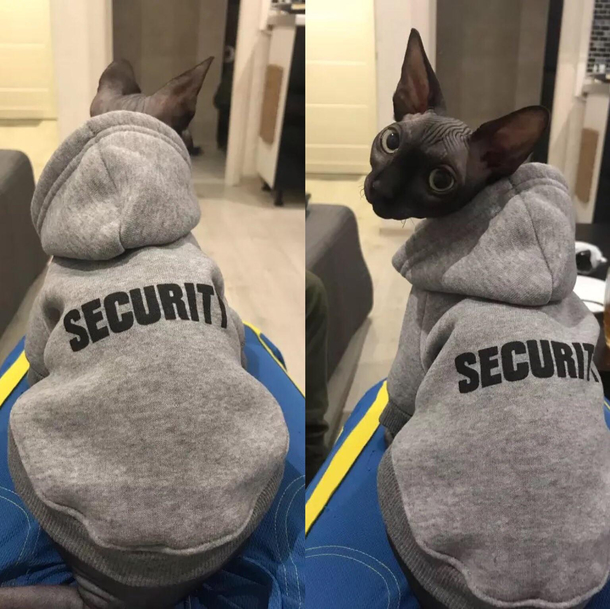 I feel safer stayhome with my SECURITY