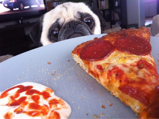 I feel ya buddy