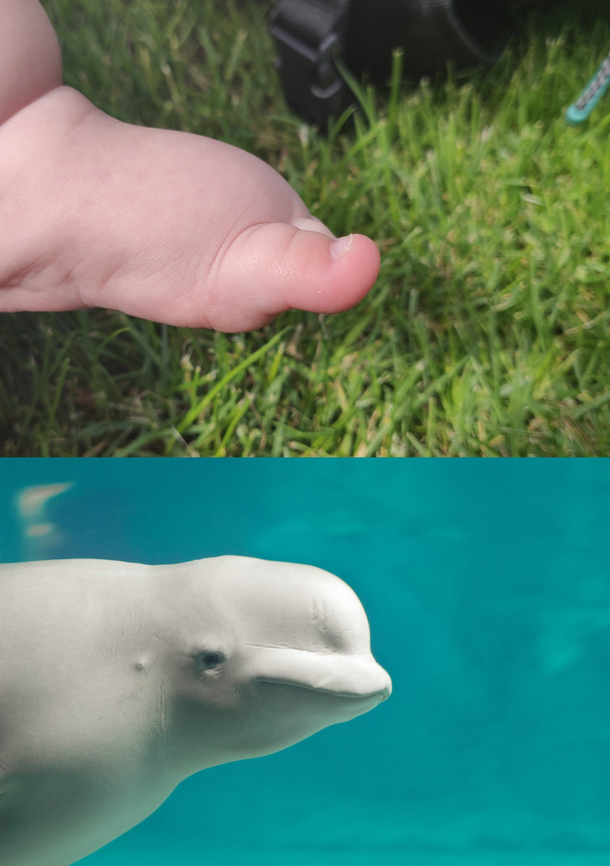 I finally figured out why the shape of my sons foot looked so familiar