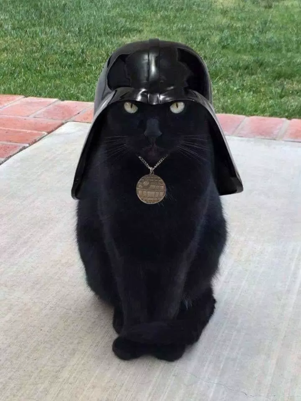 I find your lack of faith disturbing