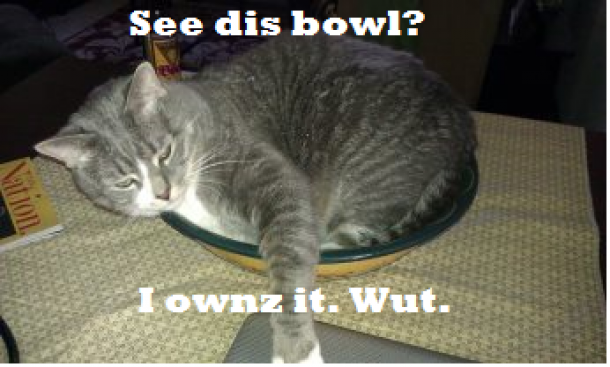 I fitz