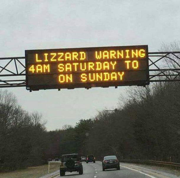 I for one welcome our new reptile overlords