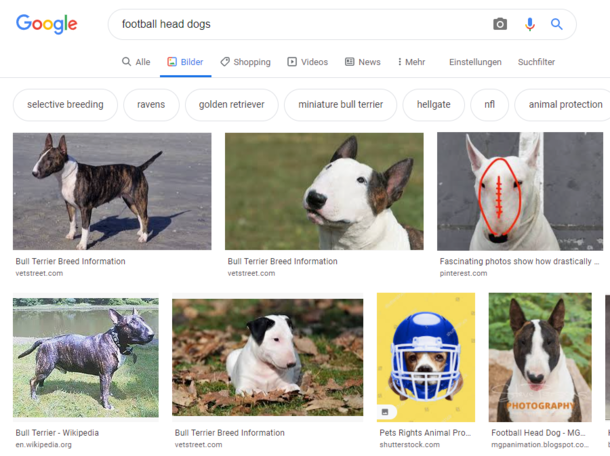 I forgot the name of this dog So i tried my best googling it