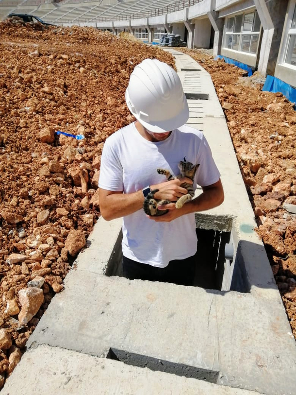 I found a kitten on my construction site today  work got done after that