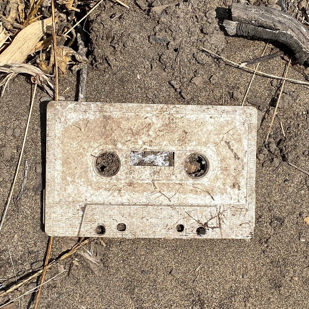 I found a very rare fossil on my walk today