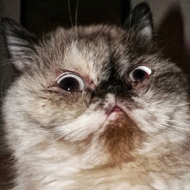 I found an SD card This was the only thing on it