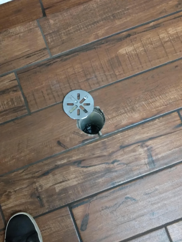 I found out how rats get into dennys