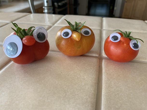 I found some nosey tomatoes