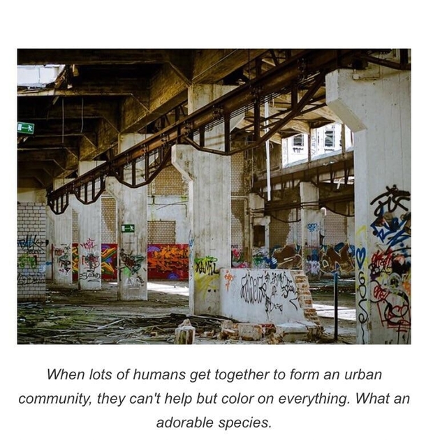 I found this online while reading about citys