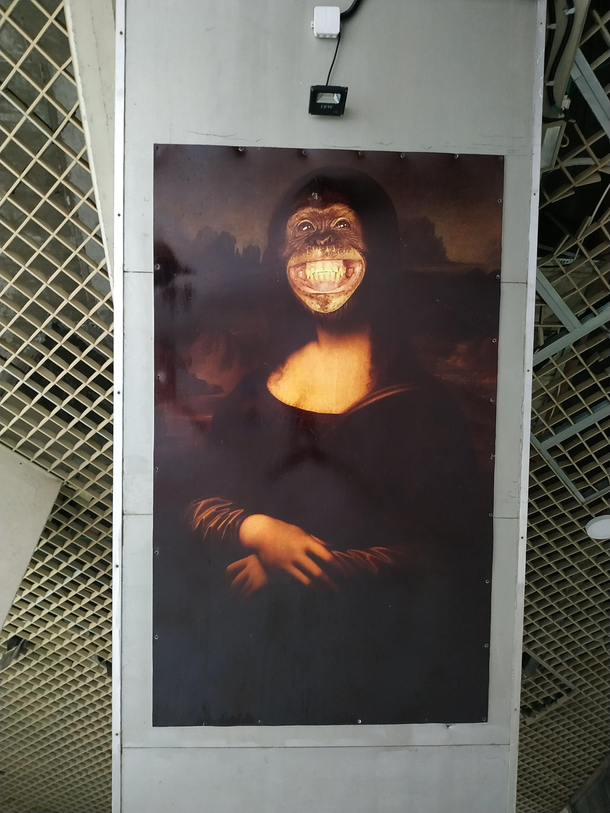 I found this picture on a local adbonded building on the ceiling
