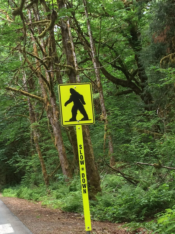 I found this while on a road trip with my dad