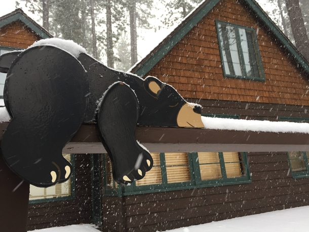 I FUCKING LOVE COCAINE