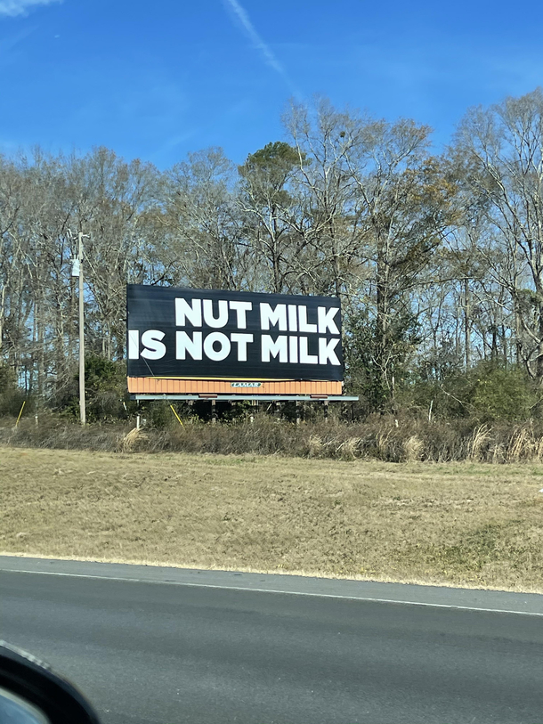 I gain all my knowledge from billboards