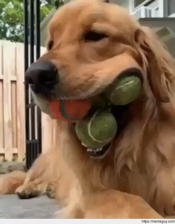 I gat the ballscome get them if you can