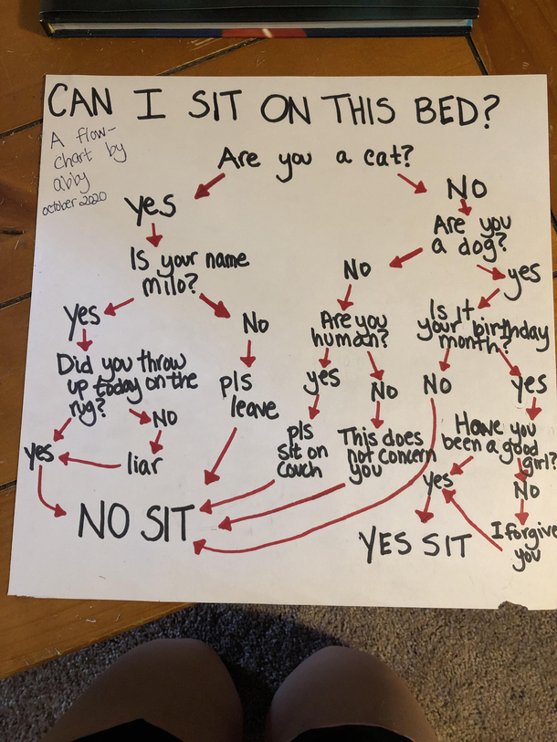 I got my boyfriends dog a new bed for her birthday tomorrow For now I made a flowchart to remind my cat of the rules