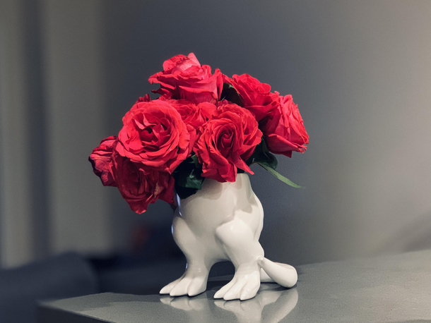 I got my GF flowers she picked the vase