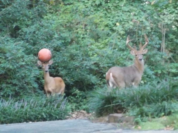 I got next game