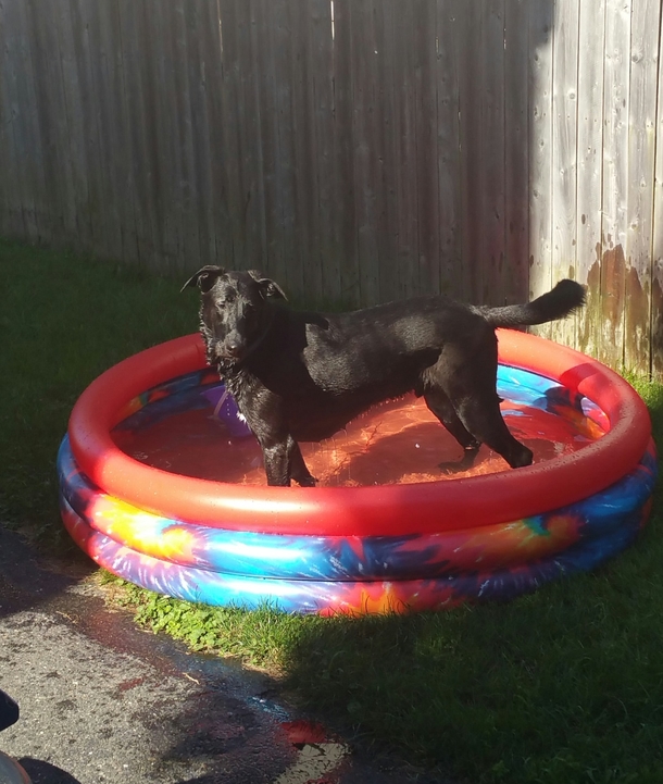 I got this pool for my son my other son likes it more