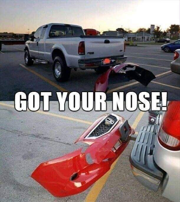 I got your nose 