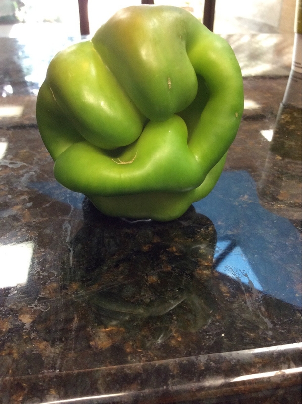 I grew a bell pepper that seems to want to punch other bell peppers