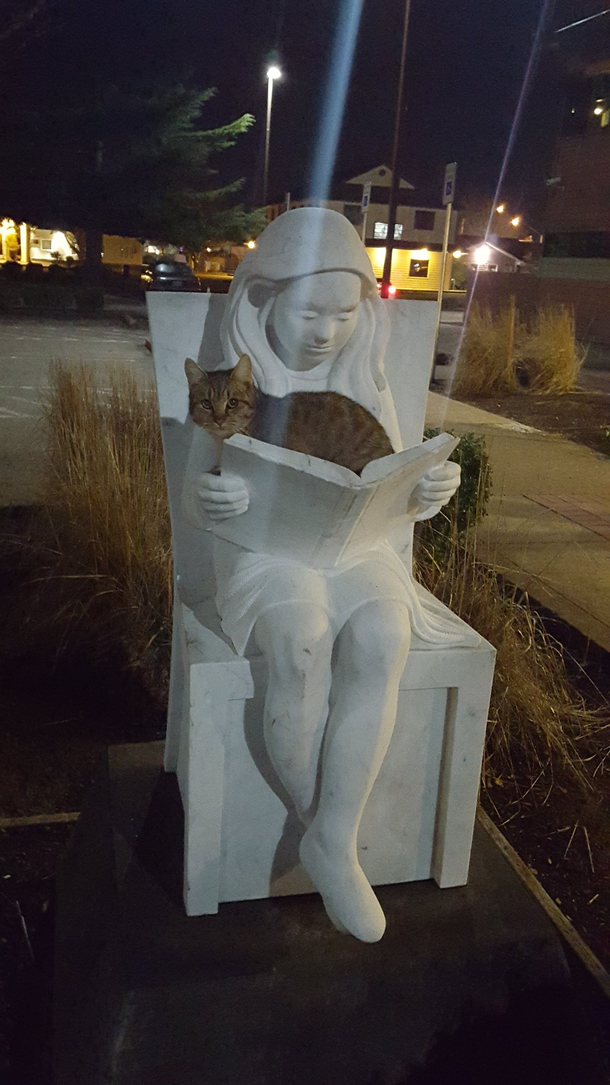 I guess being a statue isnt the only reason that girl is never going to move from that spot