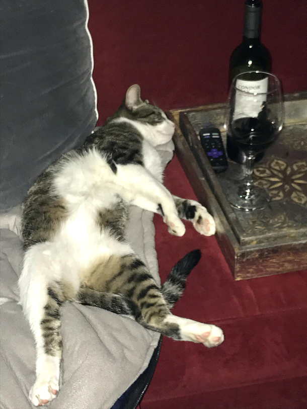 I guess my already sad date night is over