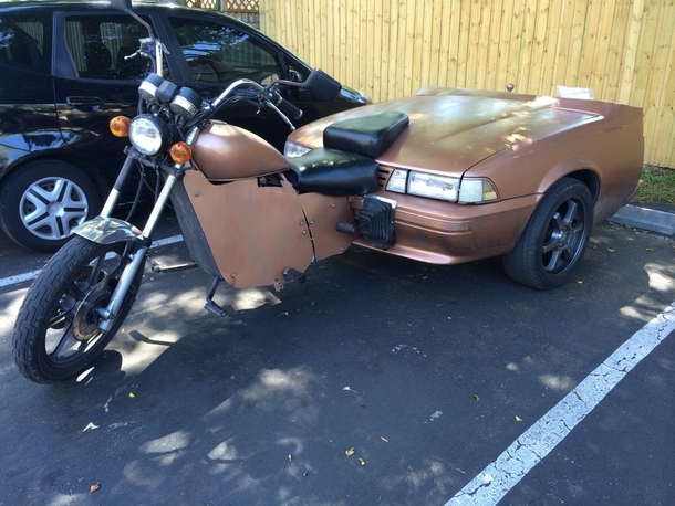 I guess my neighbor couldnt decide