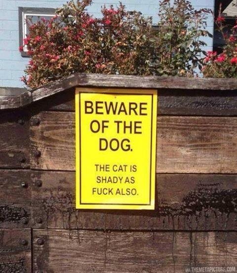 I guess my new neighbor has some pets
