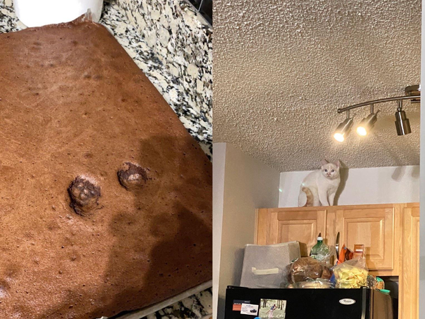 I guess the cake was too hot