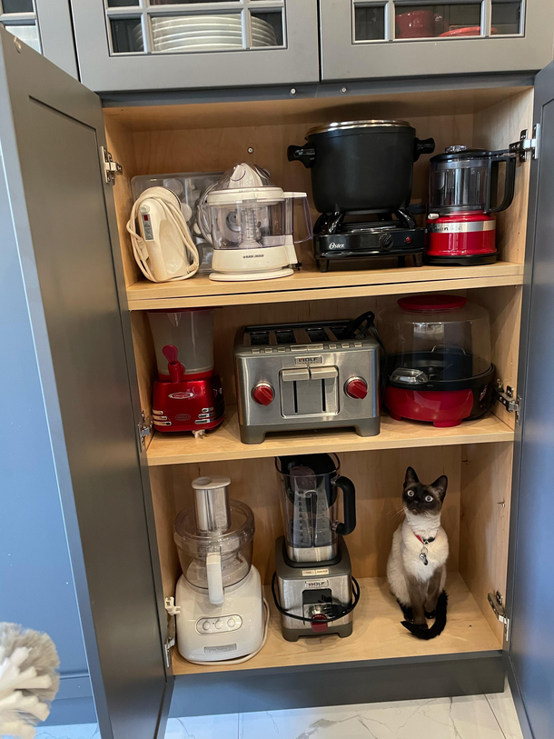 I guess we have a new appliance