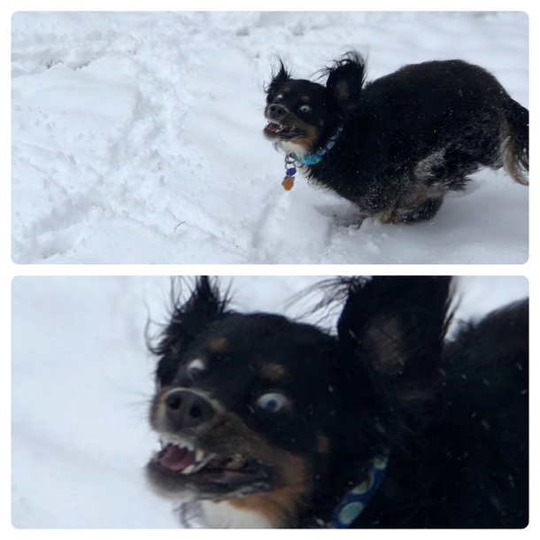 I guess you could say his first snow day was exciting