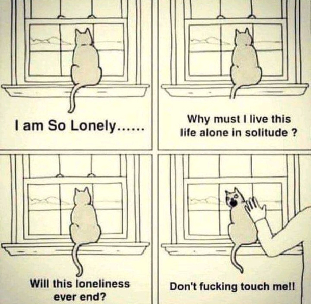 I had a cat like that