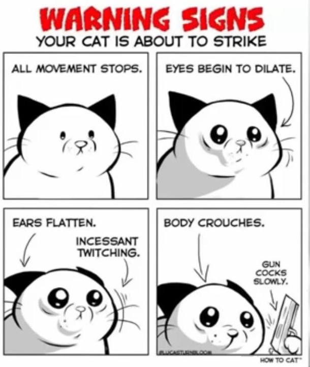 I had a cat so I can confirm