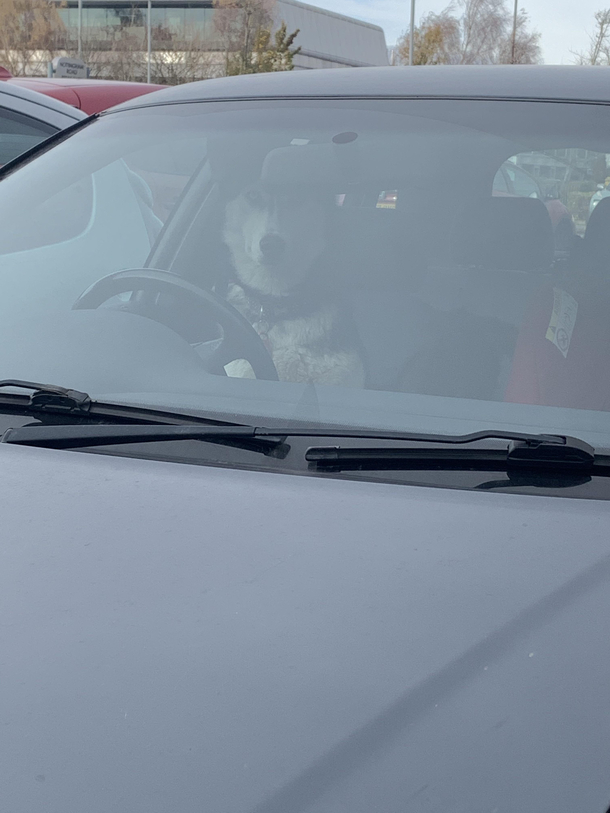 I had a feeling someone was watching me in the car park today