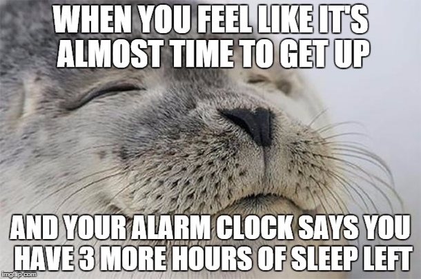 I had this great experience yesterday morning