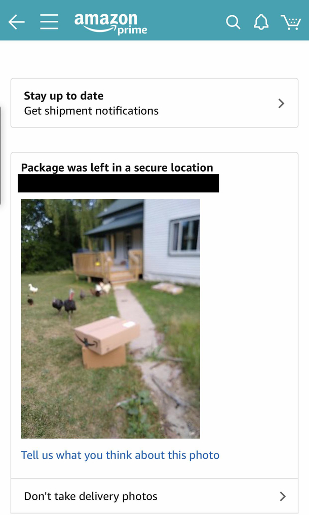 I had two separate Amazon deliveries the first one was placed in my lawn and I was frustrated they didnt follow my instructions Received this second photo and realized what might of been the issue